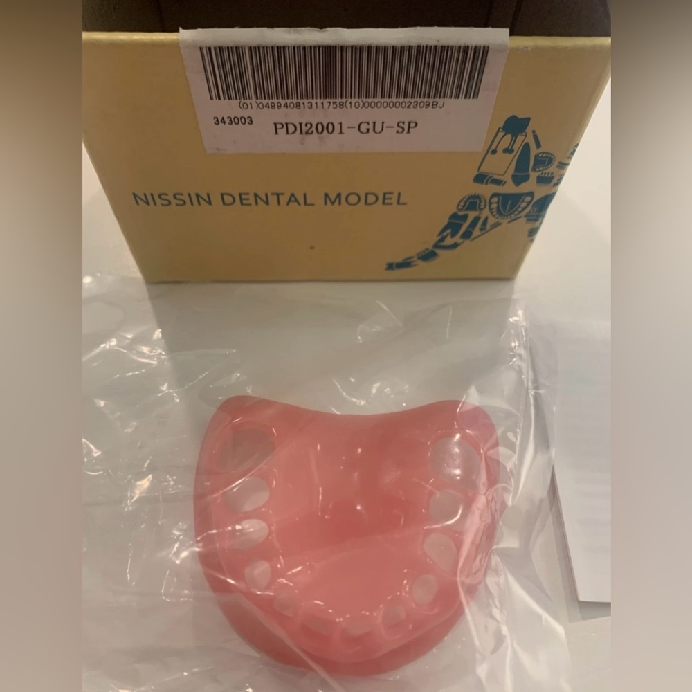 Nissin Dental Model set of 3